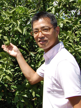 写真:ミカエースが希少なワケ