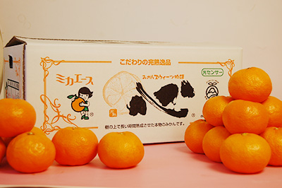 完熟三ケ日早生みかん「心（こころ）」