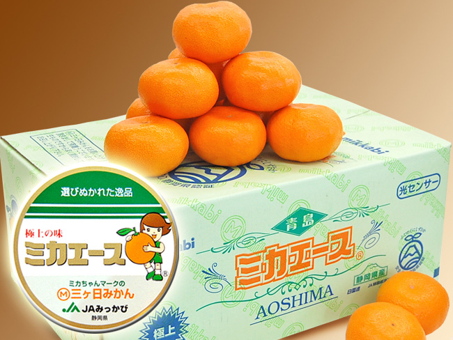 写真:最高等級三ヶ日みかん「ミカエース」