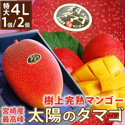 特大4Lサイズ 宮崎県産 樹上完熟マンゴー最高峰【 太陽のタマゴ 】 1個 
