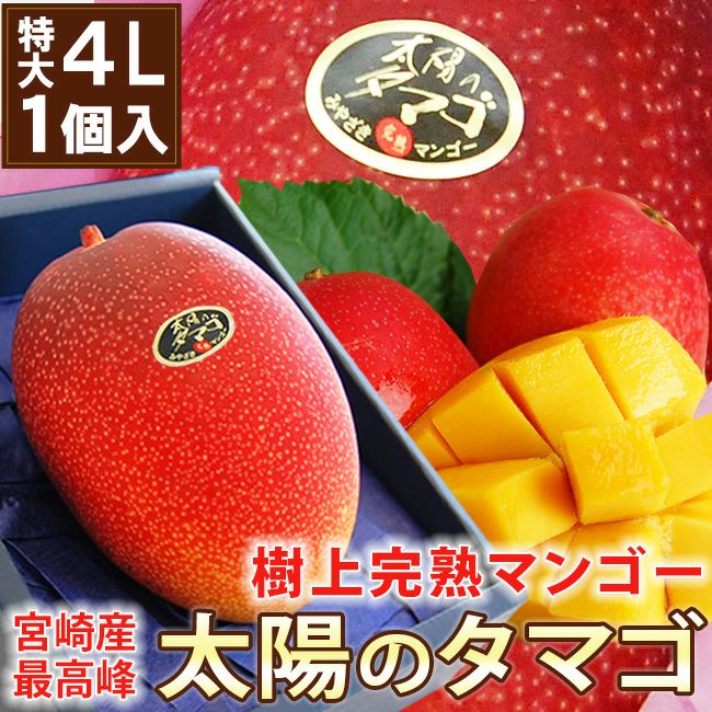山下マンゴー　特大　10号 000000000089-03.jpg?size=l&w=