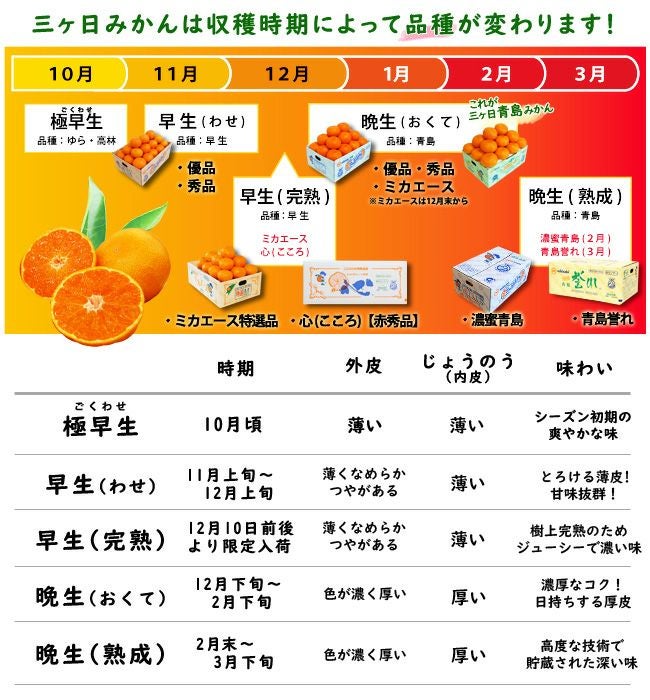 000000001249-02.jpg?size=l&w=