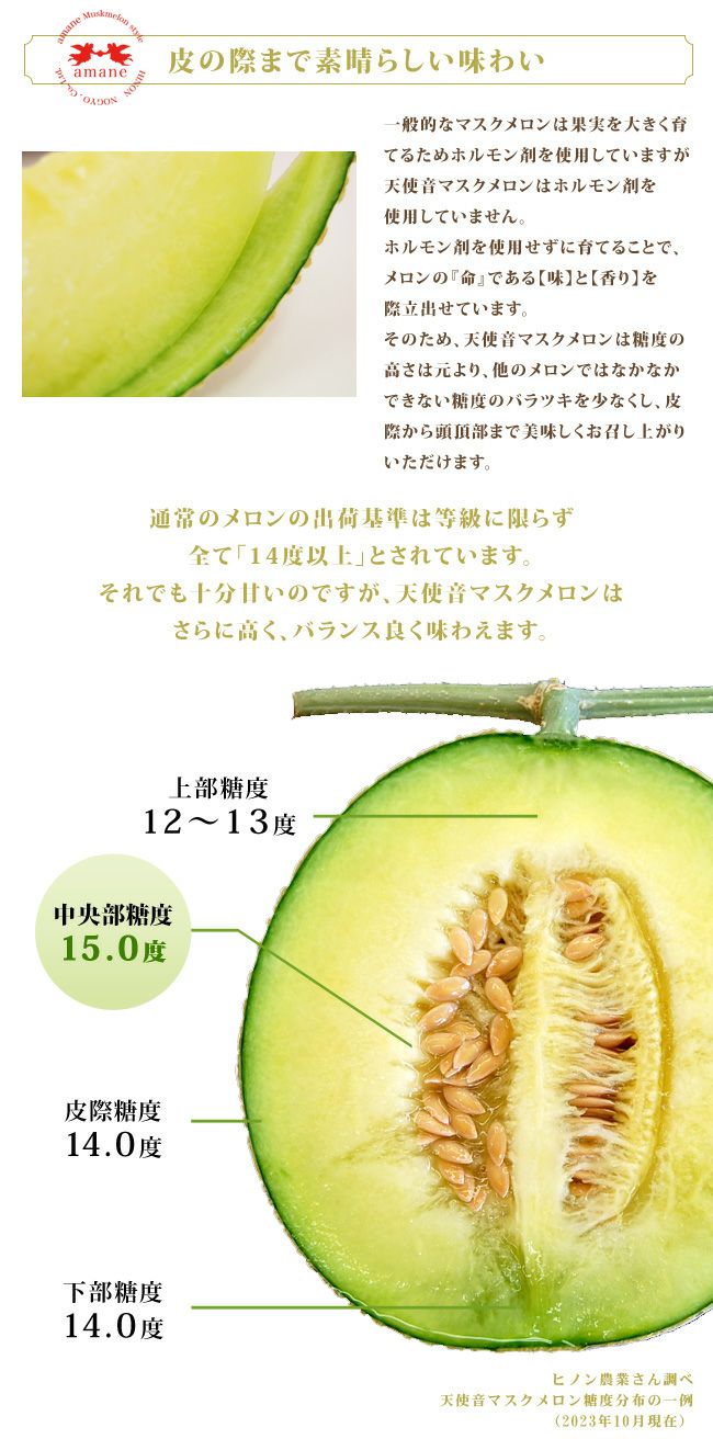 静岡県産 天使音 マスクメロン あまね | フルーツShomeido（しょうめい