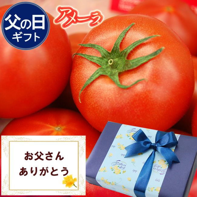 ご予約受付中 】父の日ギフト 静岡県産 アメーラ トマト 【秀品】9～16