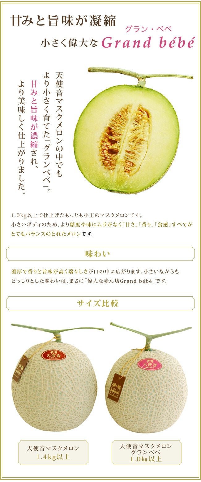 静岡県産 天使音 マスクメロン あまね【 グランベベ 】 | フルーツ