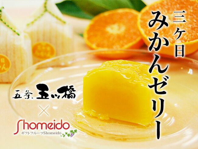 ゆる明日発送 000000001653-01.jpg?size=l&w=