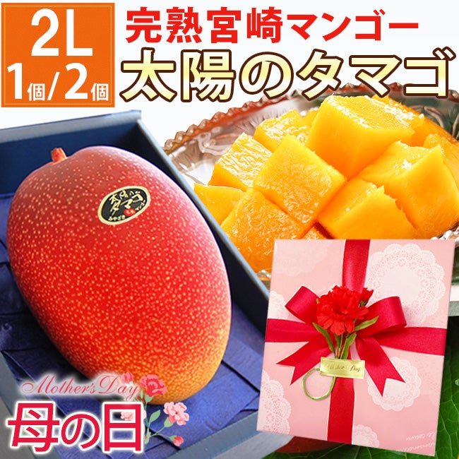 ご予約受付中】 母の日 ラッピング ギフト 宮崎 完熟 マンゴー 最高峰
