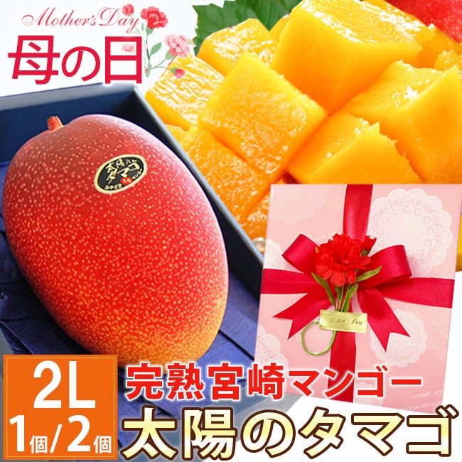  母の日ラッピング付き 宮崎産完熟マンゴー【秀品】大玉2Lサイズ 1個