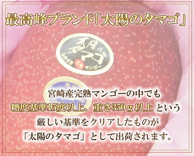 遅れてごめんね 】 母の日 ラッピング ギフト 宮崎 完熟 マンゴー 最