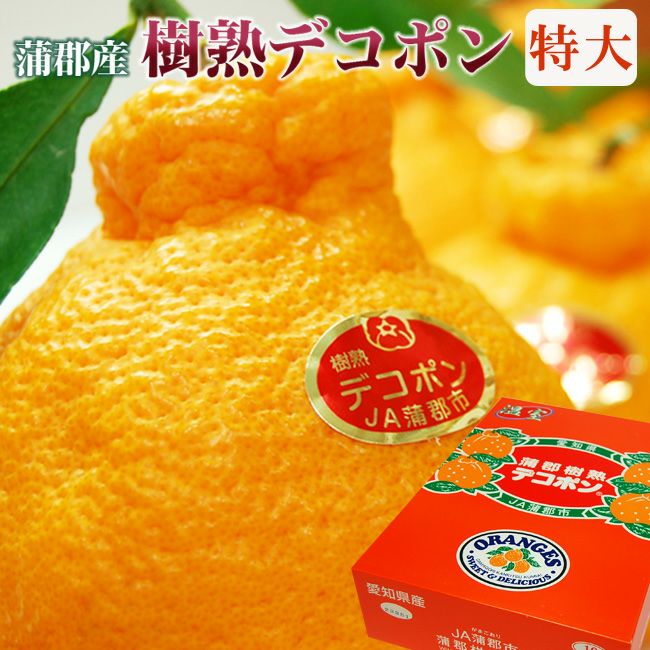 デコポン専用 DN6012n_【2027年先行予約】和歌山県産 AQ デコポン 5kg 秀品 (12～24