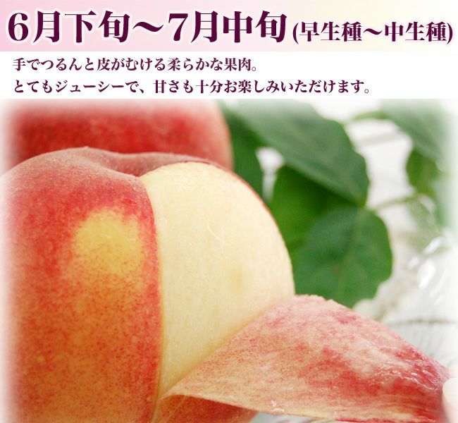 営業日16時までのご注文で即日発送OK☆桃 秀品 6個セット 化粧箱入り