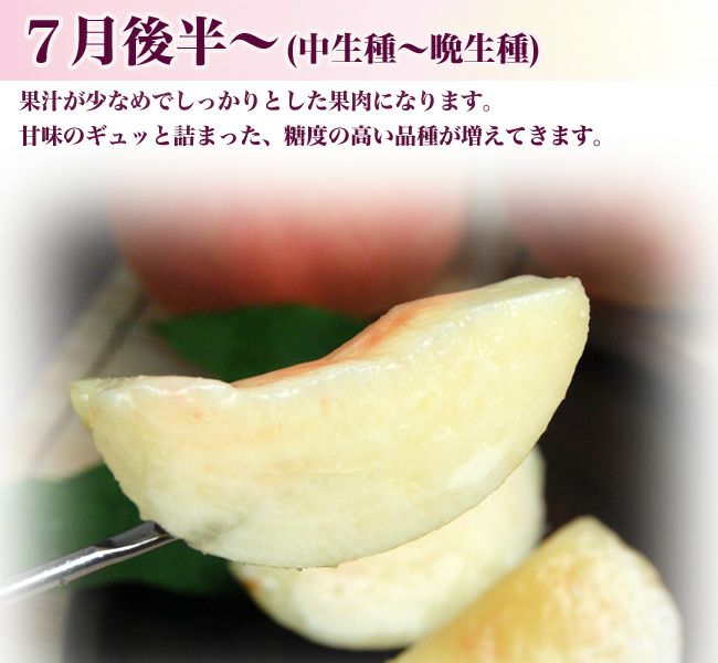 営業日16時までのご注文で即日発送OK☆桃 秀品 6個セット 化粧箱入り