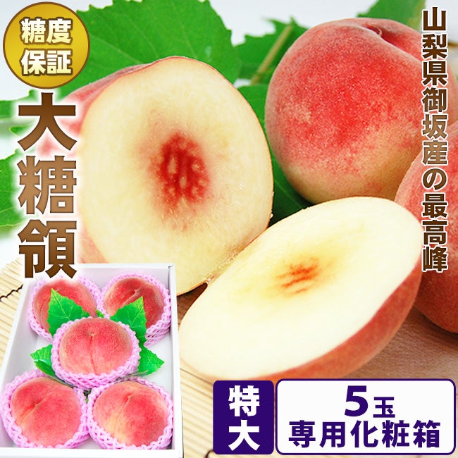 超特大5Lサイズ／最高峰 宮崎マンゴー【 太陽のタマゴ 】 秀品 1個