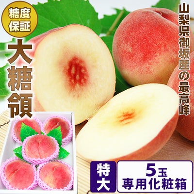 超特大5Lサイズ／最高峰 宮崎マンゴー【 太陽のタマゴ 】 秀品 1個 