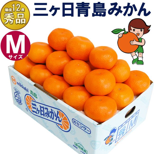 糖度12度 三ヶ日青島みかん【秀品】Mサイズ 1キロ 3キロ 4キロ 8キロ