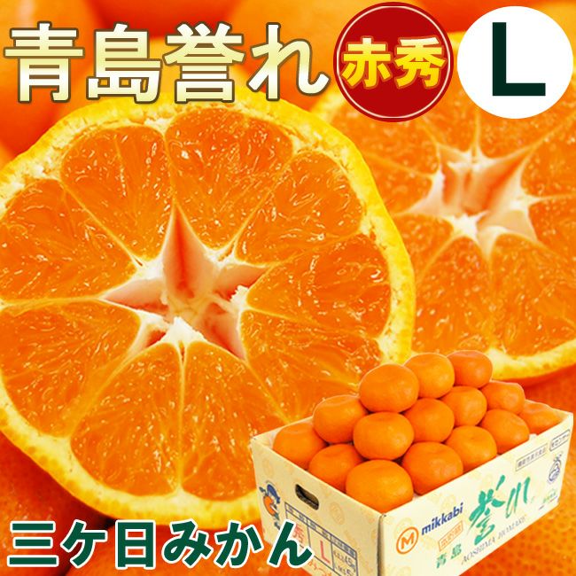 2月下旬以降入荷次第順次ご発送＞糖度12度 JAみっかび 濃蜜青島【 赤秀