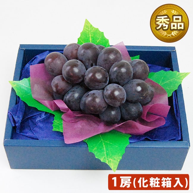 ぶどうの入った プチフルーツセット ( 巨峰 ピオーネ 高妻などぶどう