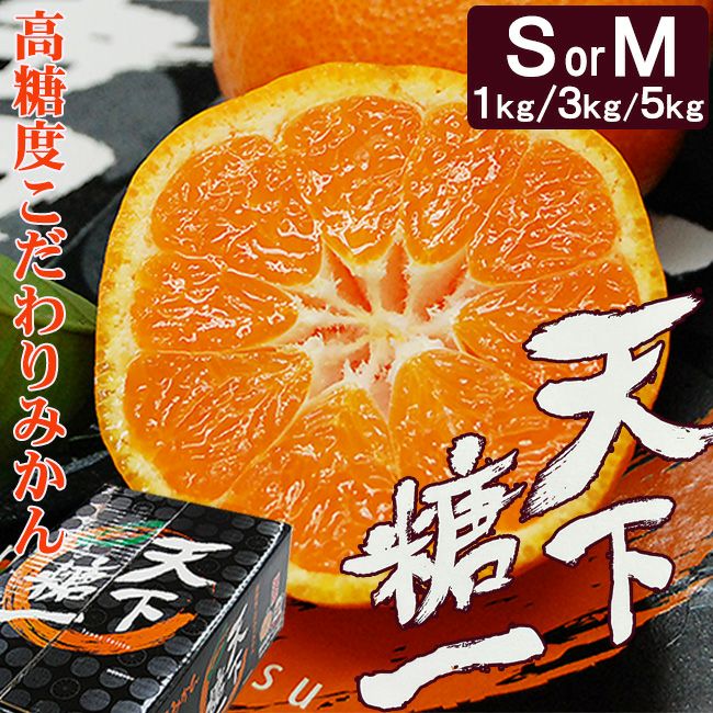 2026/2/19から新物発送開始！】 季節限定製造 三ケ日 青島みかん