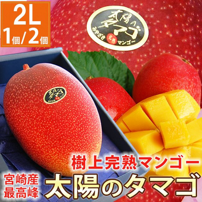 SALE／宮崎県産 樹上完熟マンゴー最高峰【 太陽のタマゴ 】 2Lサイズ 1