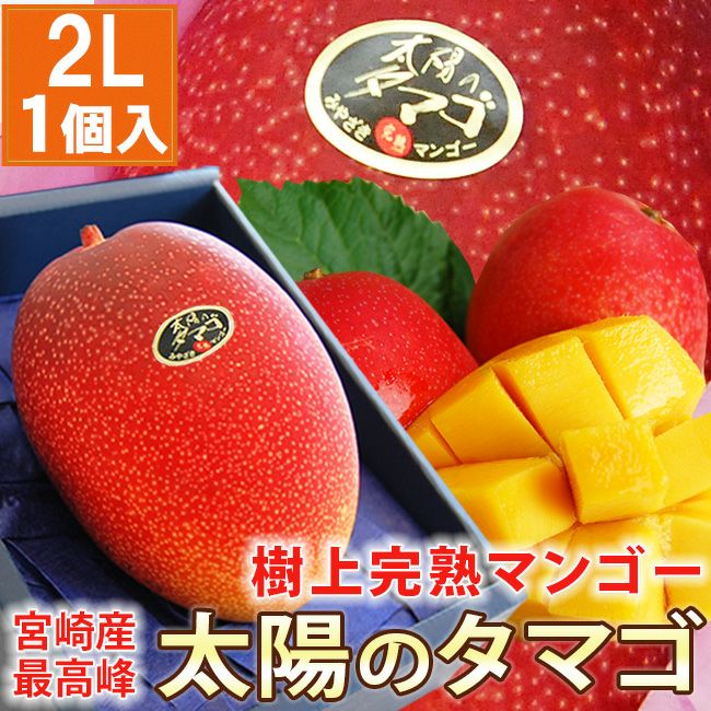 宮崎県産 樹上完熟マンゴー最高峰【 太陽のタマゴ 】 2Lサイズ 1個 / 2