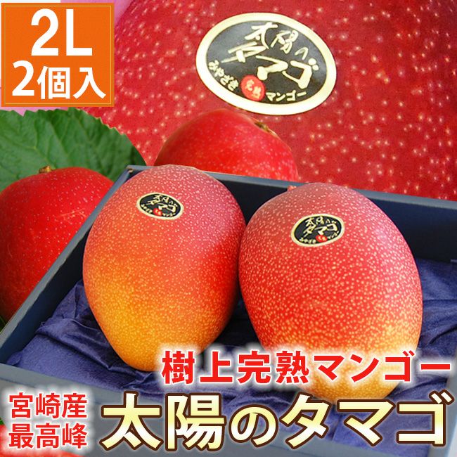 宮崎県産 樹上完熟マンゴー最高峰【 太陽のタマゴ 】 2Lサイズ 1個 / 2
