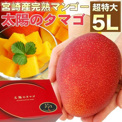 超特大5Lサイズ／最高峰 宮崎マンゴー【 太陽のタマゴ 】 秀品 1個 