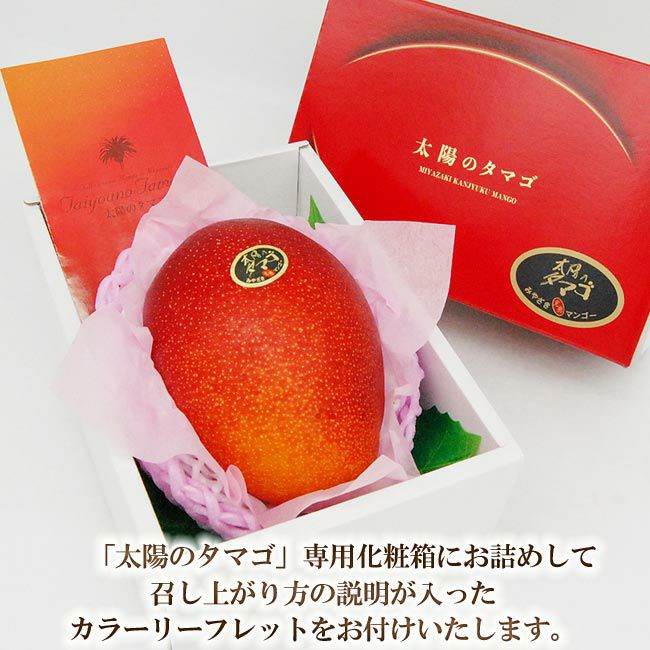 超特大5Lサイズ／最高峰 宮崎マンゴー【 太陽のタマゴ 】 秀品 1個