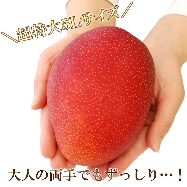 超特大5Lサイズ／最高峰 宮崎マンゴー【 太陽のタマゴ 】 秀品 1個