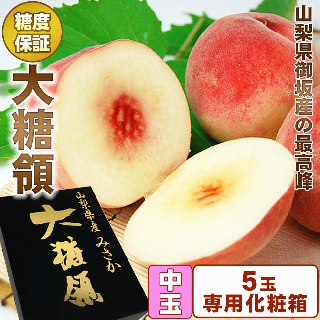 超特大5Lサイズ／最高峰 宮崎マンゴー【 太陽のタマゴ 】 秀品 1個