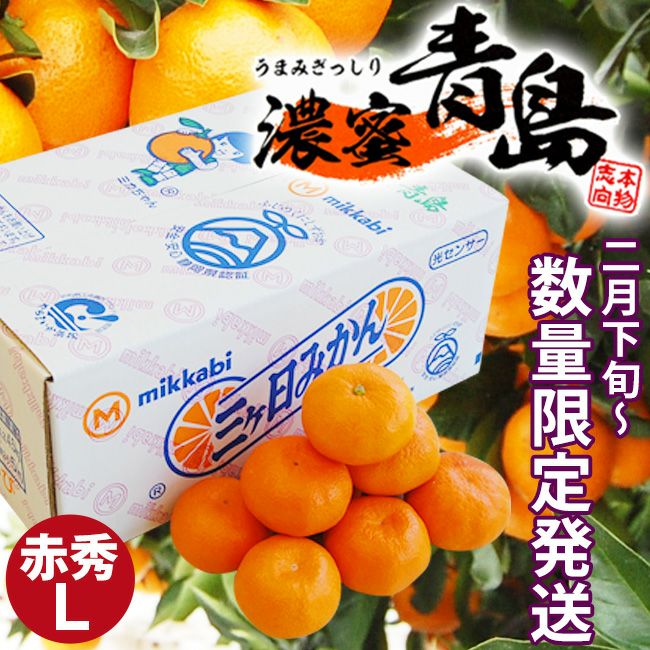 2月下旬以降入荷次第順次ご発送＞糖度12度 JAみっかび 濃蜜青島【 赤秀