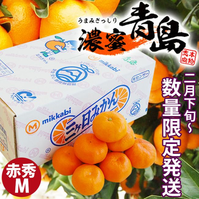 2月下旬以降入荷次第順次ご発送＞糖度12度 JAみっかび 濃蜜青島【 赤秀