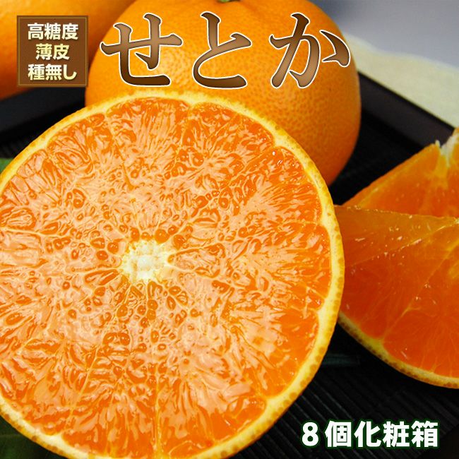 糖度12度 三ヶ日 青島みかん 【 秀品 】Lサイズ 3キロ 4キロ 8キロ 40