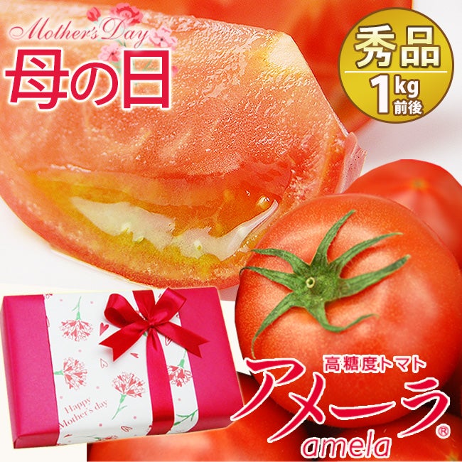 コバヤシさん専用 アメーラトマト6ケース ご予約受付中 】父の日ギフト 静岡県産 アメーラ トマト 【秀品】9～16