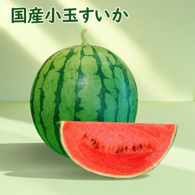 近日中のご発送】 国産 小玉すいか 1玉 スイカ すいか 国産 数量限定