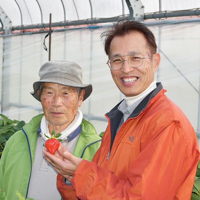 日恵野さんのいちご 「恋のかほり」8～9粒入 化粧箱