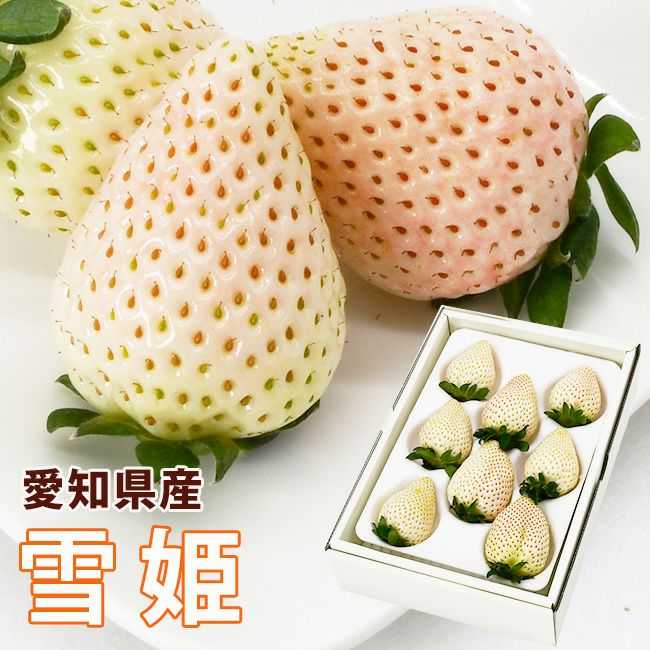 日恵野さんのいちご 「雪姫」8～9粒入 化粧箱 送料無料 愛知 珍しい 白いちご