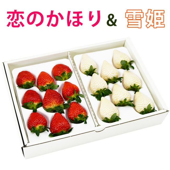 日恵野さんのいちご 食べ比べセット「恋のかほり」＆「雪姫」 合計16～18粒入 化粧箱 送料無料 愛知 珍しい 白いちご