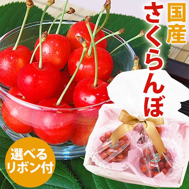 国産 さくらんぼ 3パック入り プチ フルーツセット | フルーツShomeido