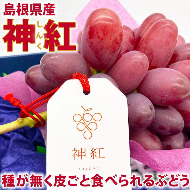 島根県産 ぶどう 大房 「神紅 しんく」1房 化粧箱入 | フルーツ