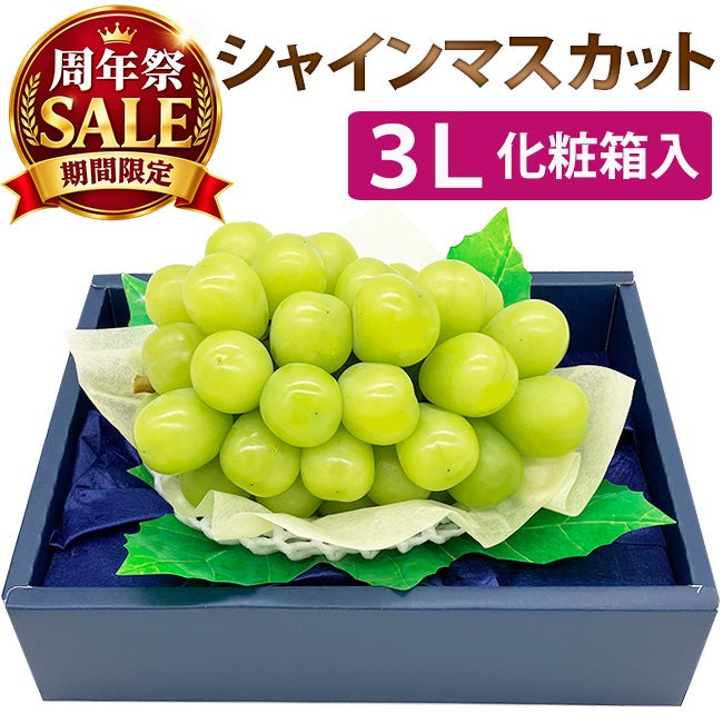 ☆周年祭SALE☆シャインマスカット【秀品】1房 化粧箱入り 2Lサイズ